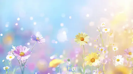 おはようございます/そら
