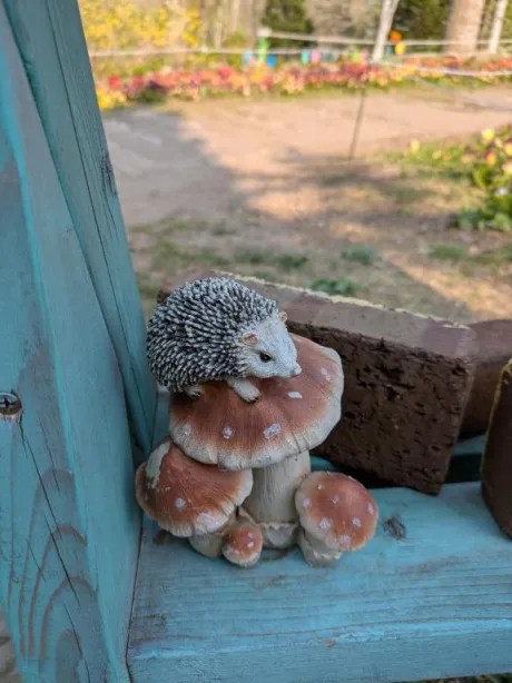 ちさきおばさんの店　FC　古川店