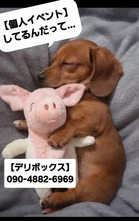 めい (魅惑のEカップ、パイパン嬢)デリボックス