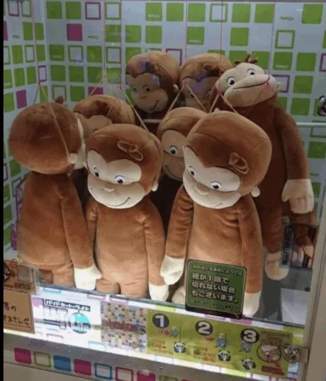 おばんです🌃