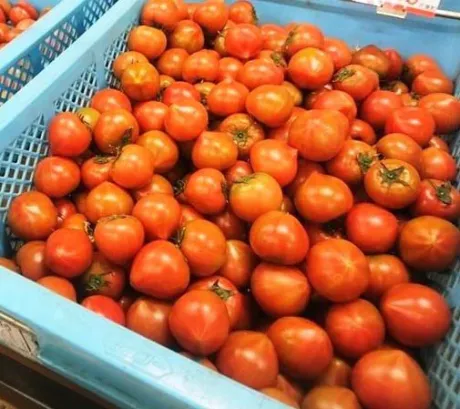 鈴夏(すずか)おばさんの店　FC　古川店