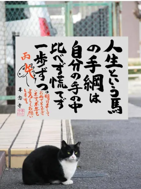シオン人妻生レンタルーNTRー