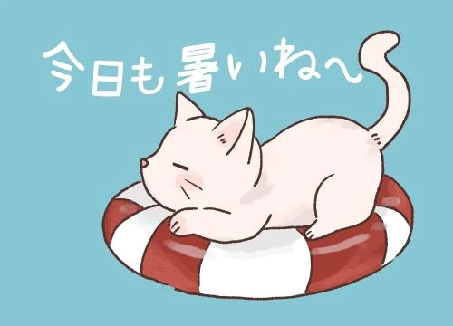 こんにちは！