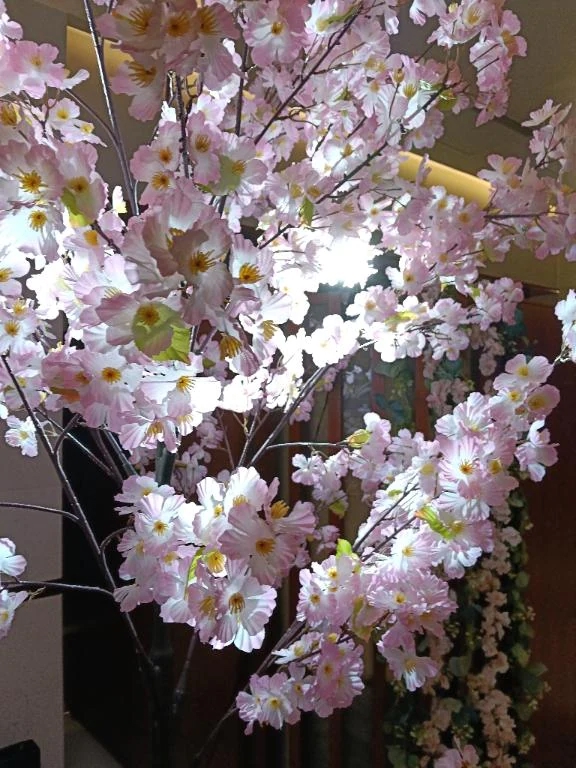 5時まで受付しております🙇宜しくお願いします