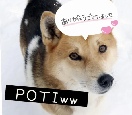 かなえM-1 福島壱萬店