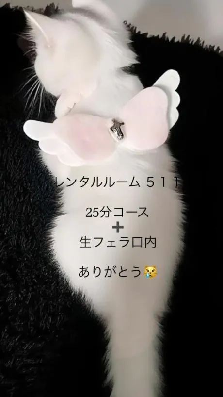 お礼🕊💌/体験入店 ほむら