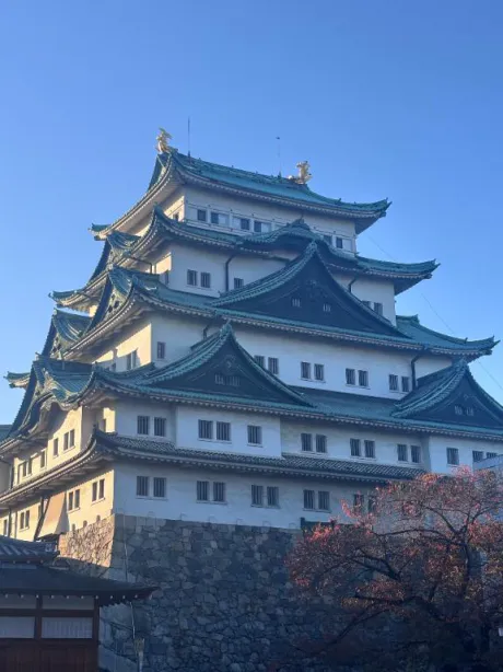 ただいま～！/ほの