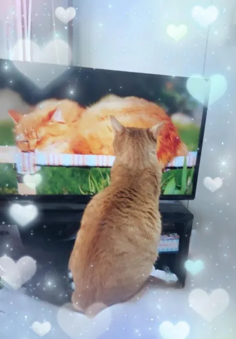 かおり★もうだめイキ過ぎ敏感乳隣の人妻お口で愛して