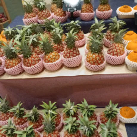 ゆうな 奥様仙台人妻セレブリティー