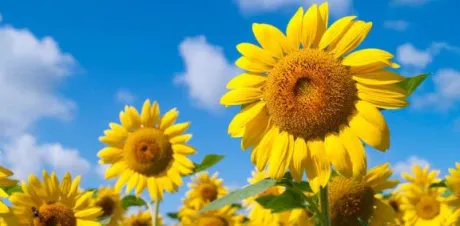 暑いですねΣ(･ω･ノ)ノ/鈴夏(すずか)
