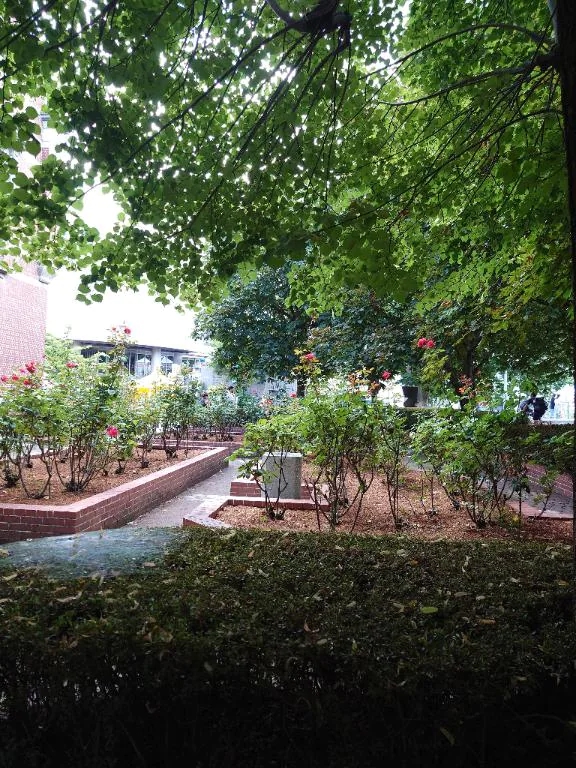 ★まみ★極上熟女店長激押し！隣の人妻お口で愛して