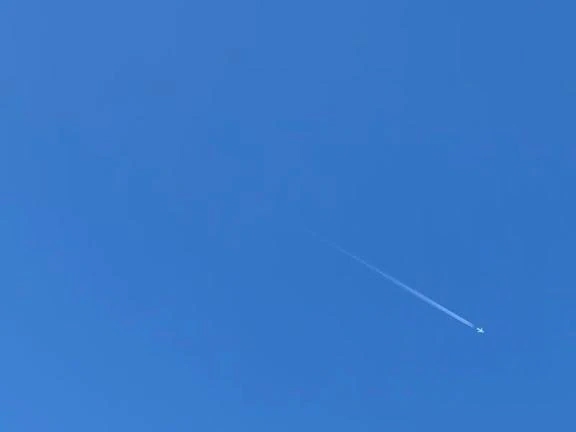 慣れないなぁ🤣