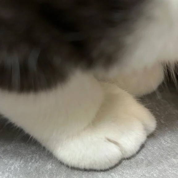 明日26日は17時から💓🫧