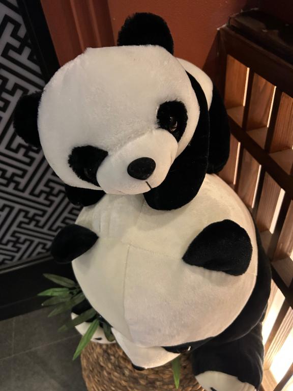 伽羅行ったら👀