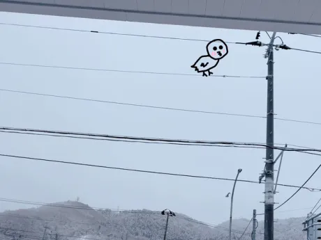 ももこ仙台人妻花こよみ
