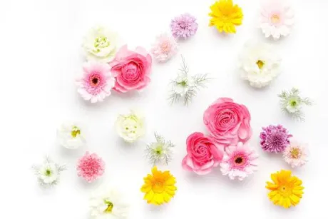 まなのブログ すみません😭