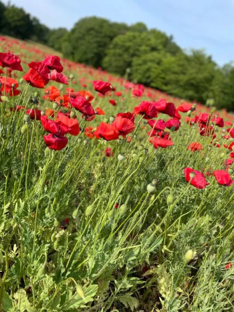 ちひろ即プレイ専門店　性の極み