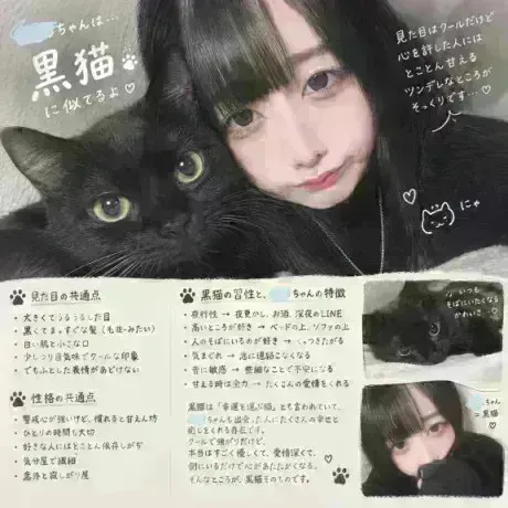 ねこだっ‼️