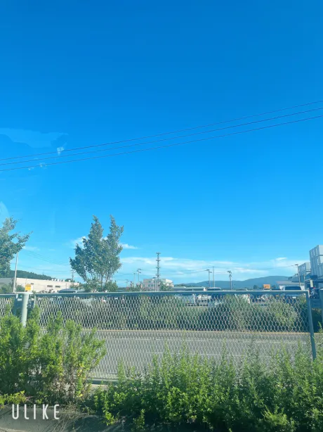 新人 あいのブログ 青空 〜🐱
