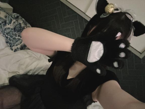 よてい🐈‍⬛🐾