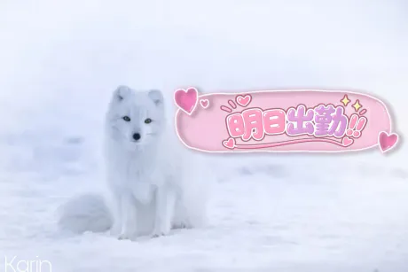 カリン弘前平川黒石ちゃんこ