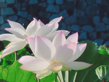 出勤いたしました♪/恵梨(えり)
