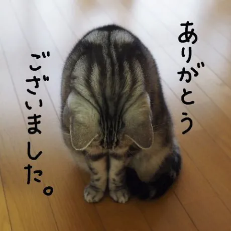 /つばさ【弘前黒石】