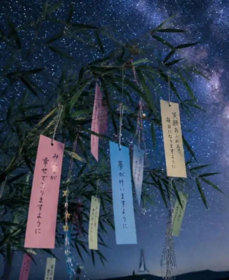 こんばんは🎋/みれい