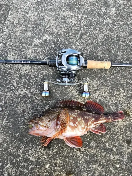 リエコ人妻生レンタルーNTRー