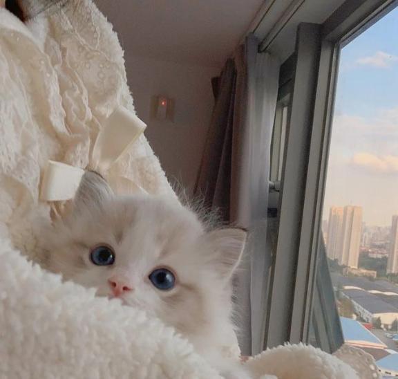 暖かい♡