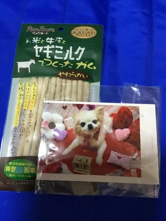 キレイになりました✨