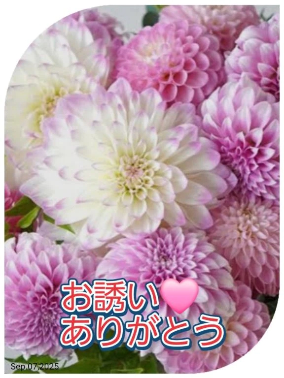 お誘い❤️ありがとう