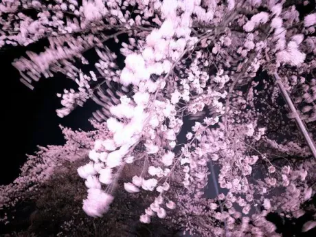 なみのブログ 強風ですね