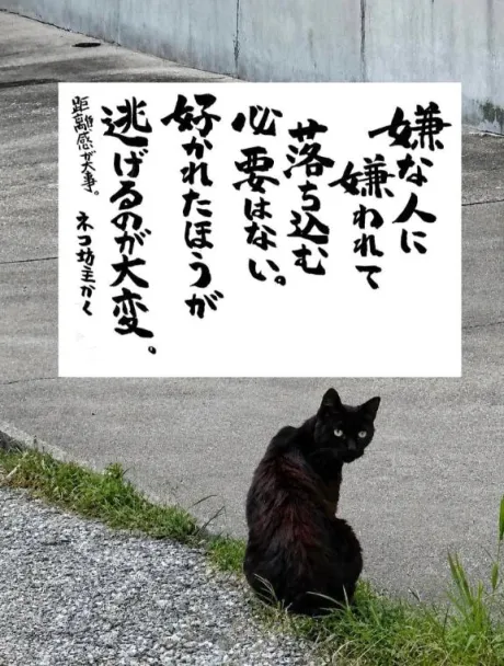 こんぬつわ♡/シオン