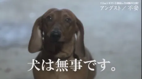 いるーー！！！/11/13体験入店そら