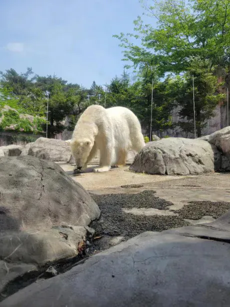 あがりんご🍎/レイナ