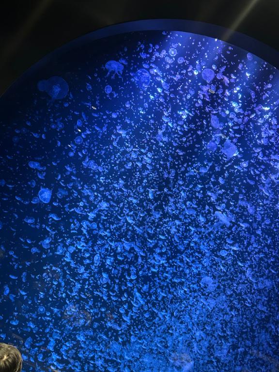 ごめんなさい…。