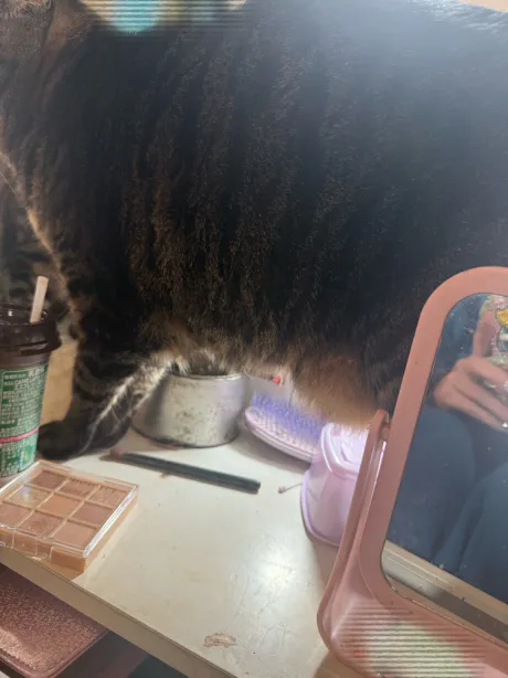 レオ【EDENコース】弘前出勤EDEN