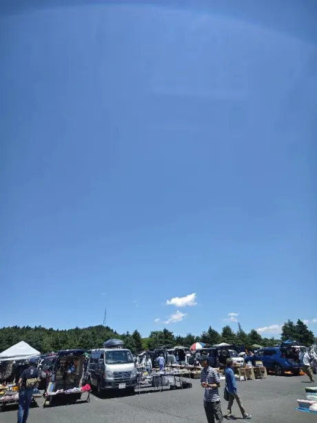 良き天気⤴️