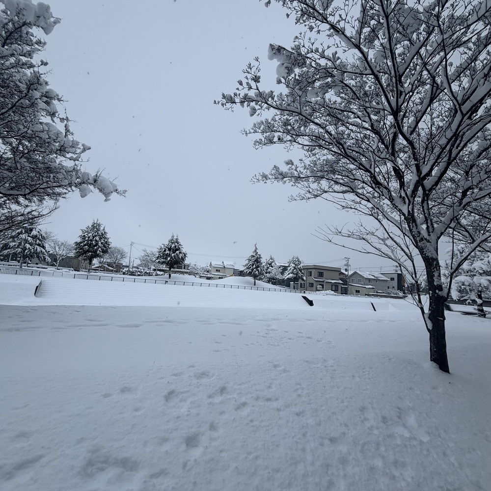 次の出勤が年内 LAST だってさ | w・)