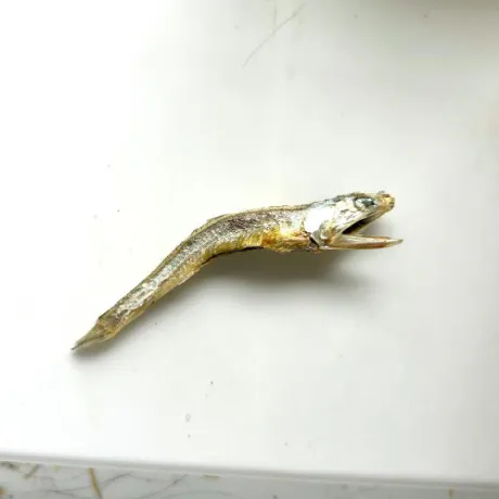 みなみ奥様メモリアル