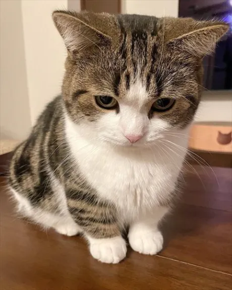 ありがとう ( * ・ω・)/なお