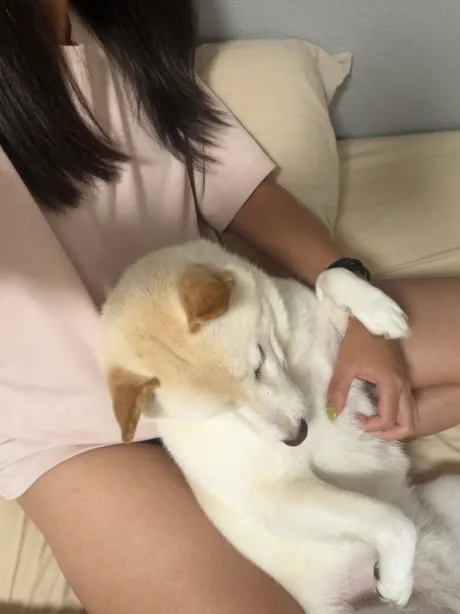 やっぱりうちの子が🫶