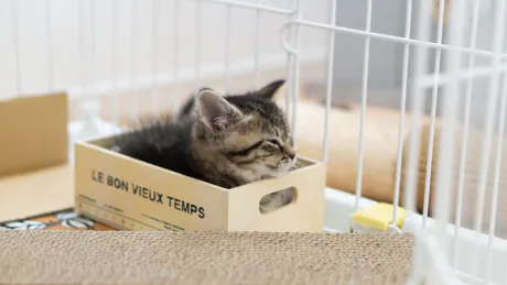 おはよう😺/業界初まりん(弘前)