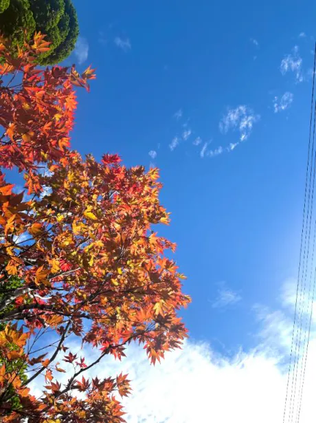 空の下でひと休み