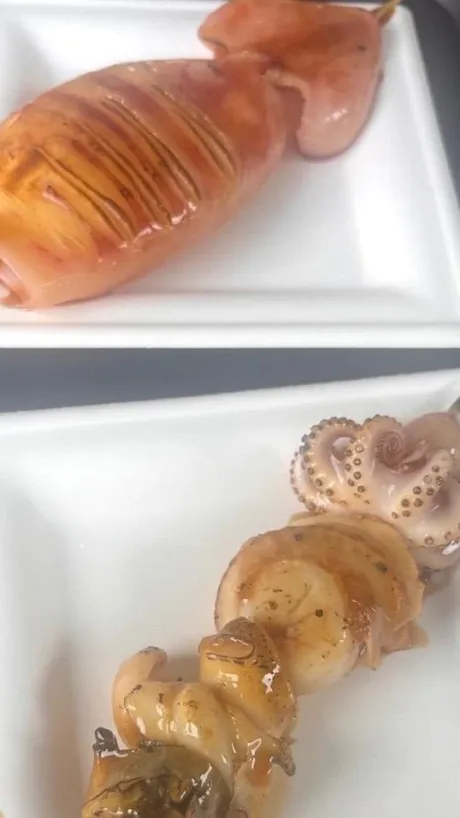 さりなのブログ 🦑