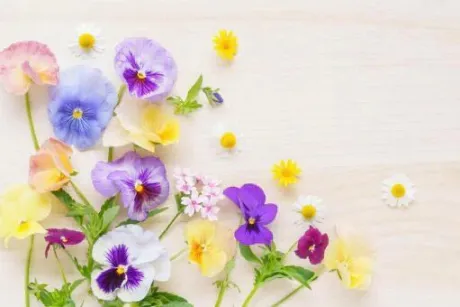 新人・叶羽(とわ)のブログ T様💖