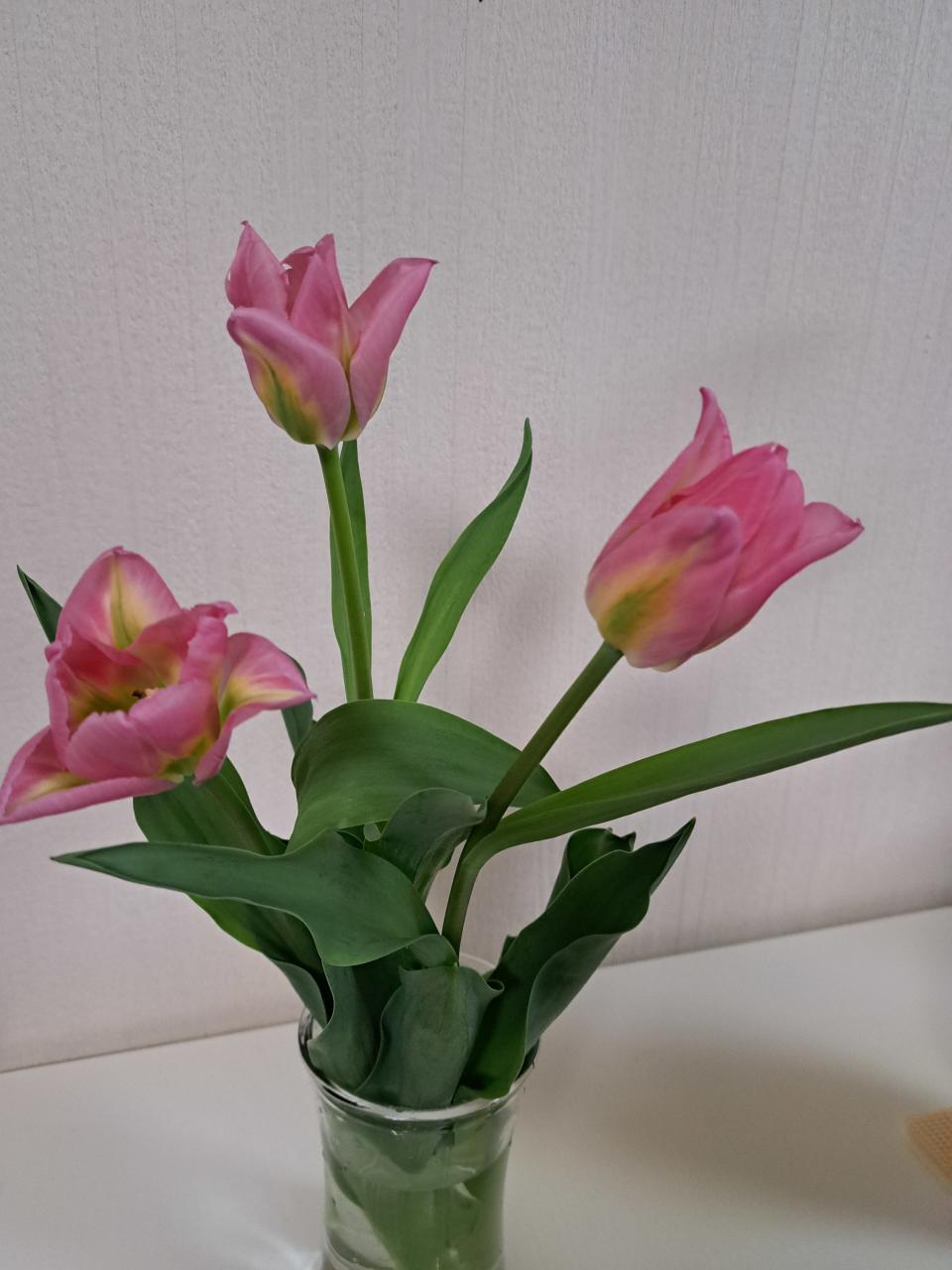 お疲れ様