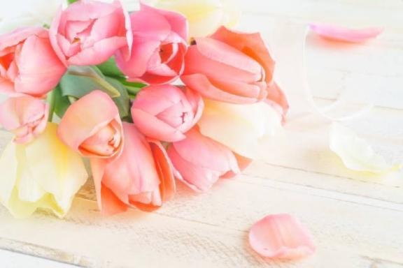 向かってます🌷