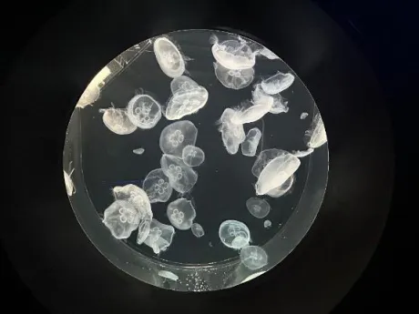 ラストひと枠❣️/うた　奥様